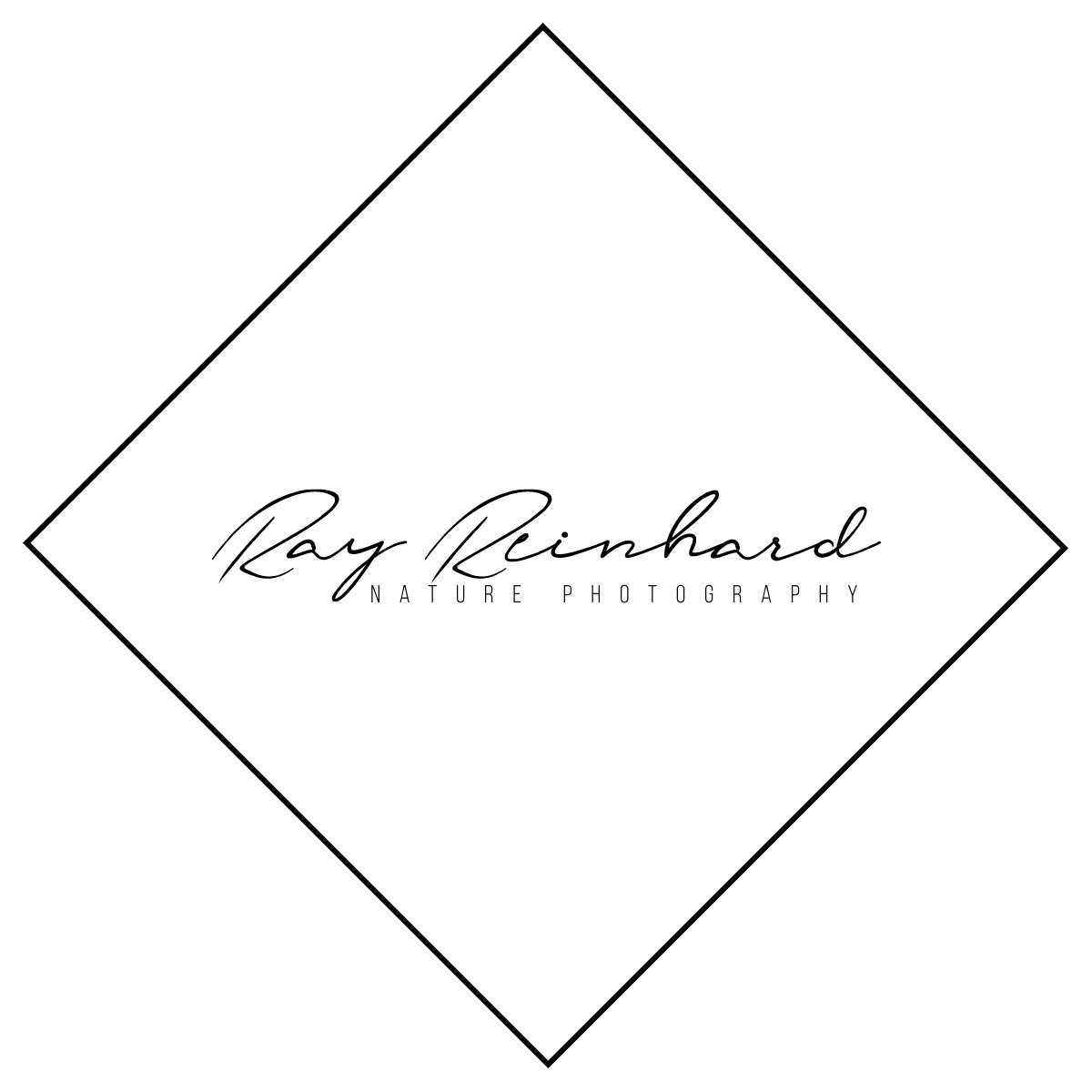 rayreinhard logo